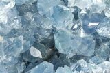 Sparkling Celestine (Celestite) Geode Section - Madagascar #364694-1